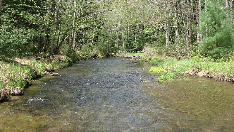 White Deer Scenic2.JPG